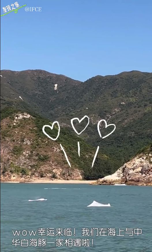 笑容甜美似初恋被赞人美心善再度圈粉AG真人平台baby带小海绵做公益(图4)