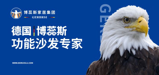 功能沙发专家 大国隐形冠军AG真人娱乐网